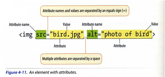 HTML attributes and how to use them