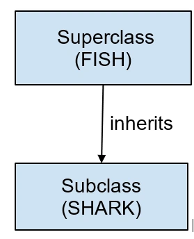 Superclass vs Subclass